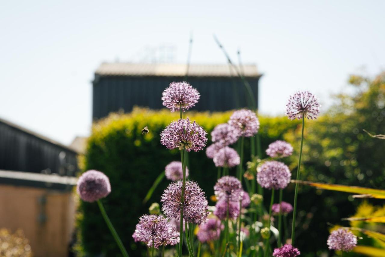 Penrhiw Farm B & B Goodwick Kültér fotó